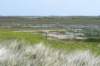 terschelling2023_418_small.jpg