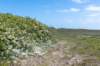 terschelling2023_422_small.jpg