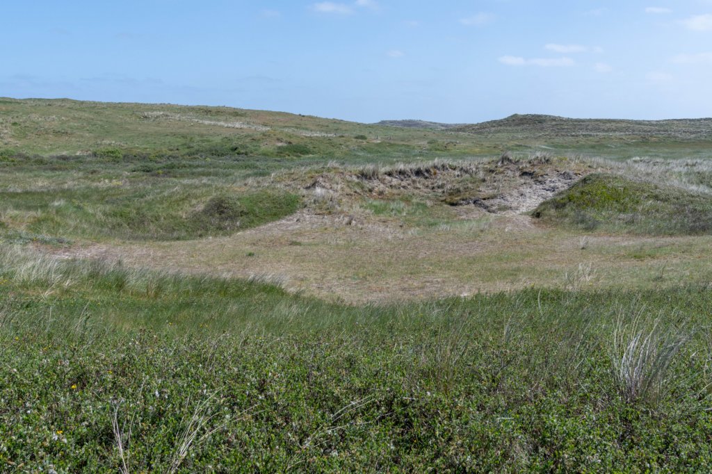 terschelling2023_425.jpg