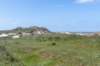 terschelling2023_427_small.jpg