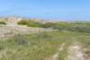 terschelling2023_428_small.jpg