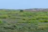 terschelling2023_429_small.jpg