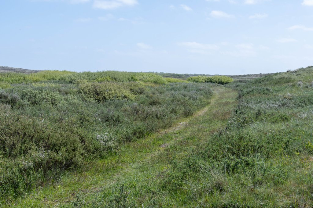 terschelling2023_430.jpg