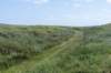terschelling2023_430_small.jpg