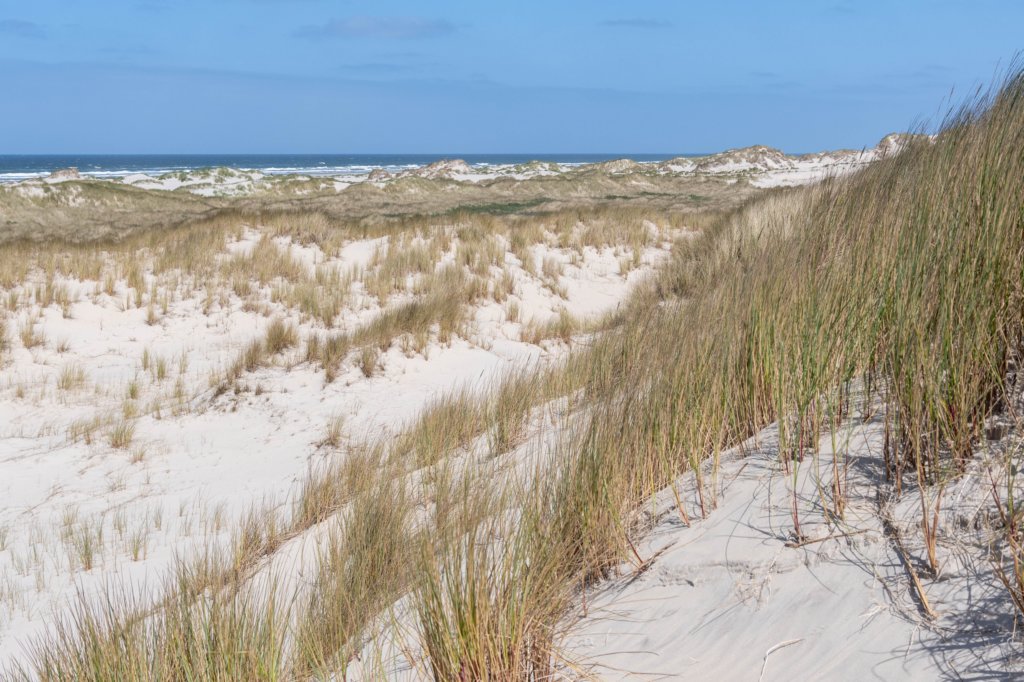 terschelling2023_433.jpg
