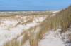 terschelling2023_433_small.jpg