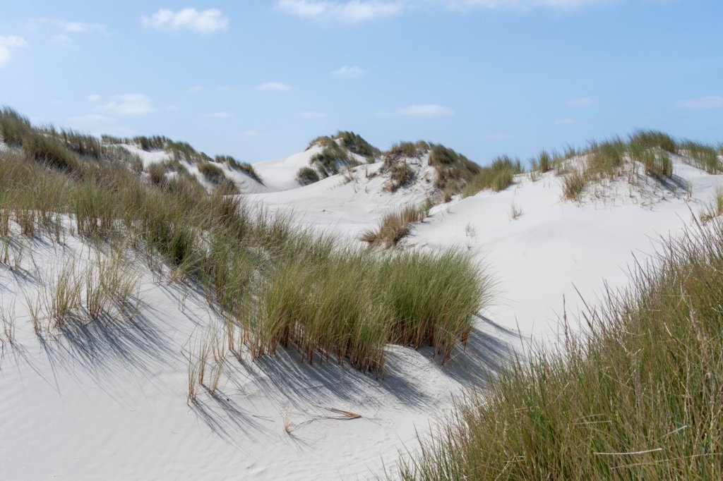 terschelling2023_436.jpg
