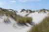 terschelling2023_436_small.jpg