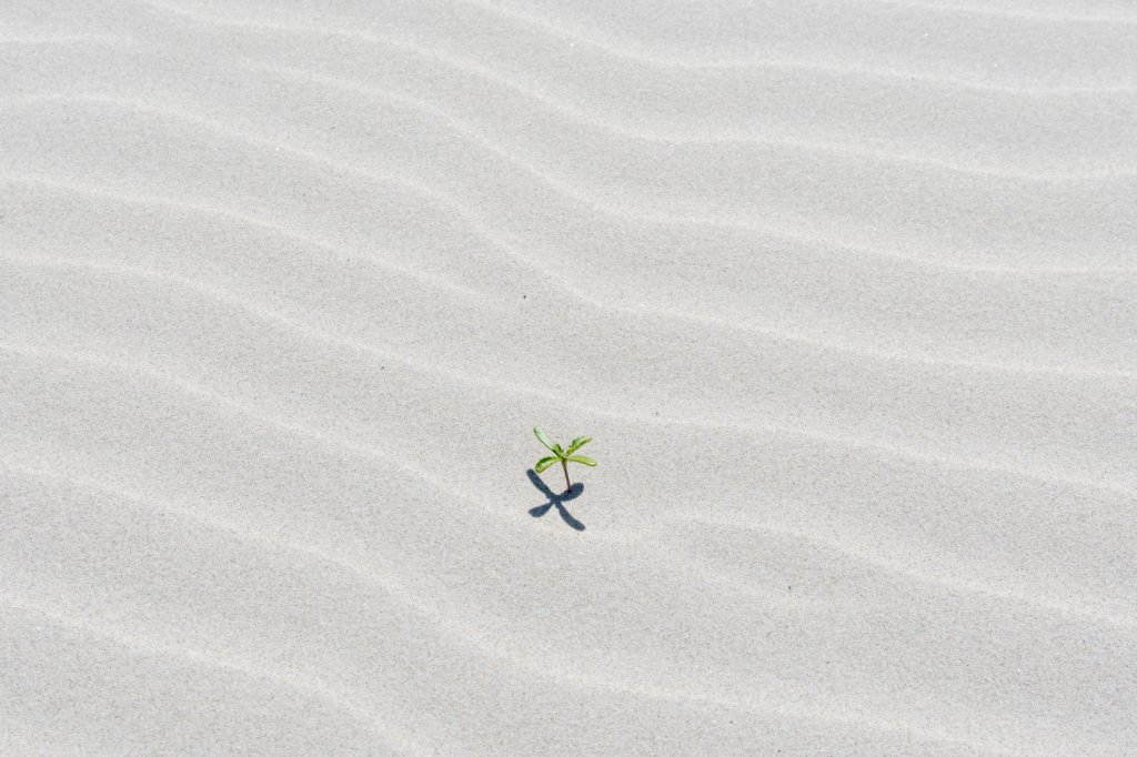 terschelling2023_440.jpg