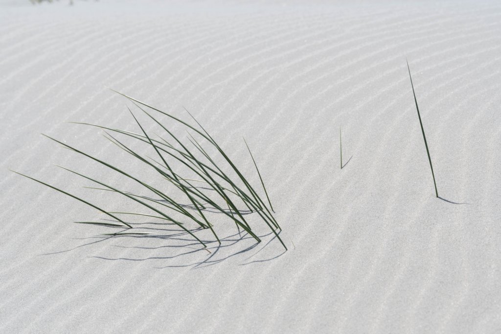 terschelling2023_441.jpg
