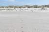 terschelling2023_442_small.jpg