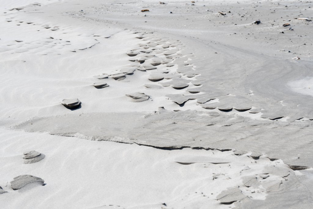 terschelling2023_444.jpg