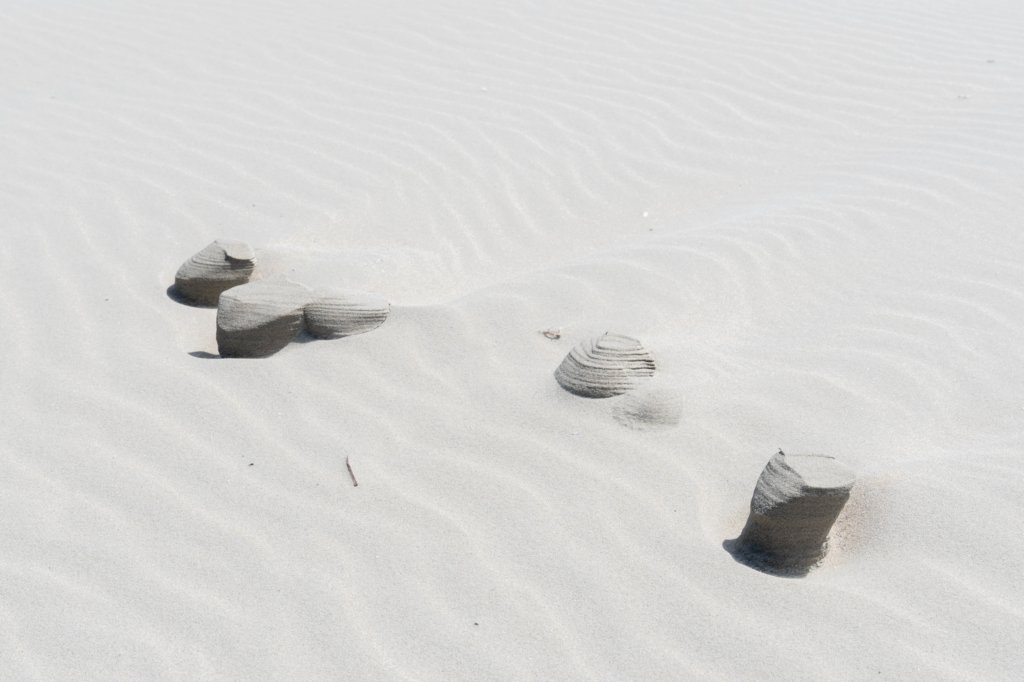 terschelling2023_445.jpg