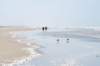 terschelling2023_446_small.jpg