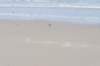 terschelling2023_448_small.jpg