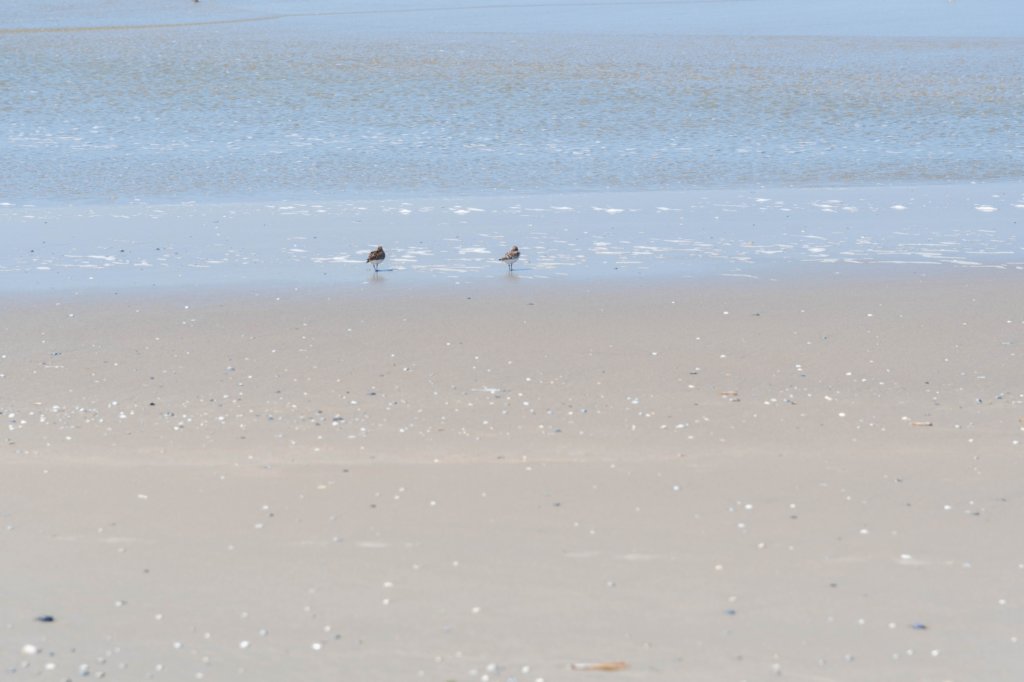 terschelling2023_449.jpg
