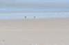 terschelling2023_449_small.jpg