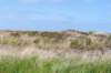 terschelling2023_453_small.jpg