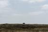 terschelling2023_454_small.jpg