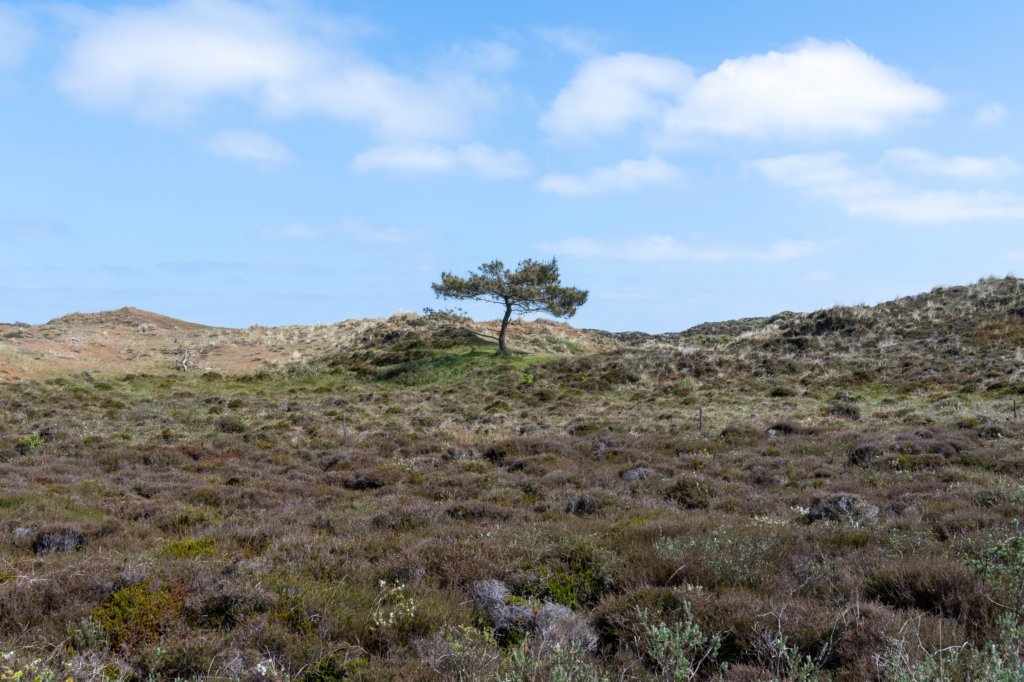 terschelling2023_455.jpg