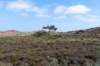 terschelling2023_455_small.jpg