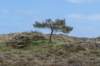 terschelling2023_456_small.jpg