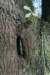 postbanktt_003_small.jpg