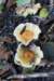postbanktt_010_small.jpg