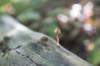 postbanktt_012_small.jpg