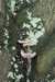 postbanktt_014_small.jpg