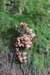 postbanktt_016_small.jpg