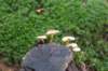 postbanktt_017_small.jpg