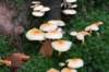 postbanktt_018_small.jpg