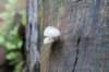 postbanktt_020_small.jpg