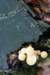 postbanktt_026_small.jpg