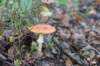 postbanktt_035_small.jpg