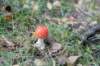 postbanktt_037_small.jpg