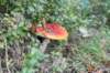 postbanktt_038_small.jpg