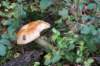 postbanktt_042_small.jpg