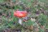 postbanktt_043_small.jpg
