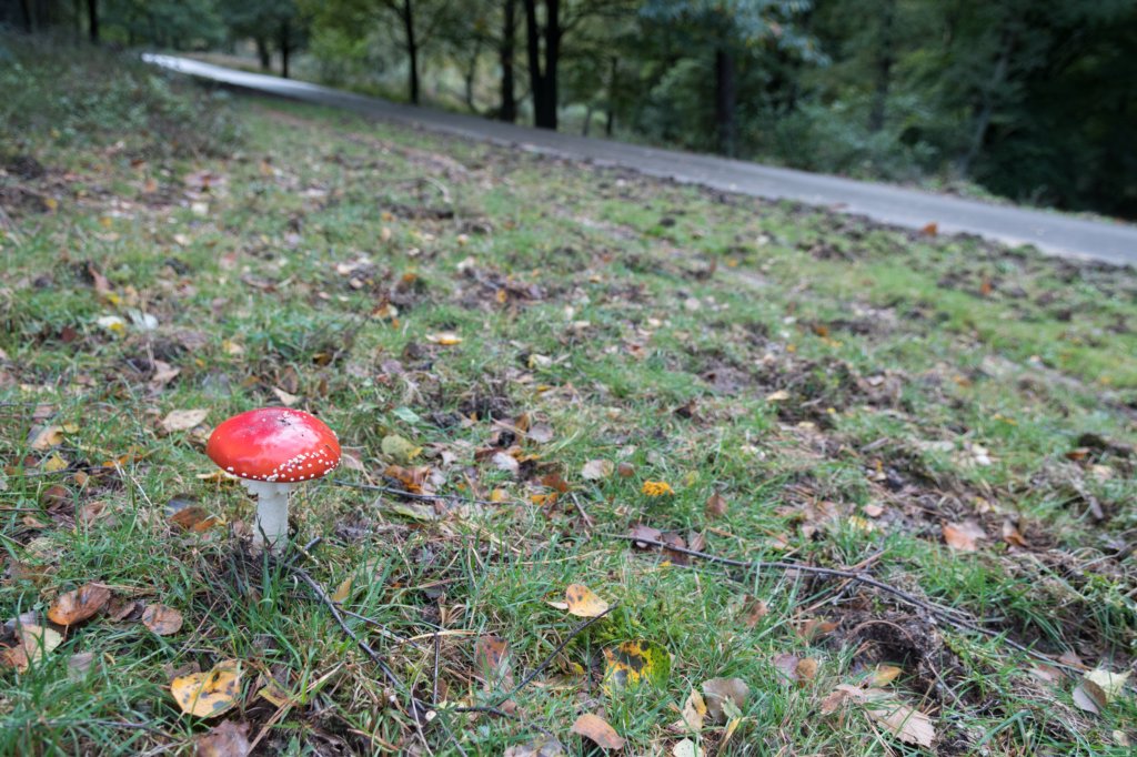 postbanktt_044.jpg