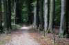 postbanktt_047_small.jpg