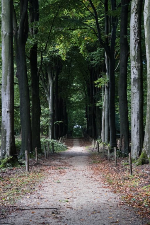 postbanktt_048.jpg