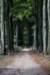postbanktt_048_small.jpg