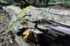 postbanktt_049_small.jpg