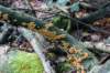 postbanktt_054_small.jpg