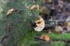 postbanktt_055_small.jpg