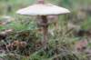 postbanktt_065_small.jpg