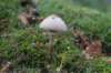 postbanktt_066_small.jpg