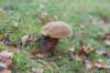 postbanktt_067_small.jpg